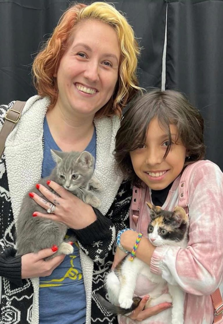 Mission Meow Cat Adoptions  Kitten Adoptions Near Me - Serving